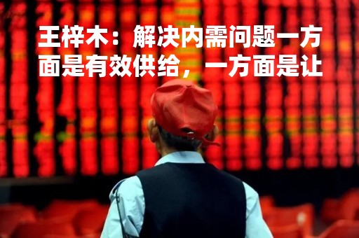 王梓木：解决内需问题一方面是有效供给，一方面是让老百姓手里有钱