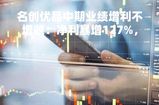 名创优品中期业绩增利不增收：净利暴增127%，营收反降2.9%