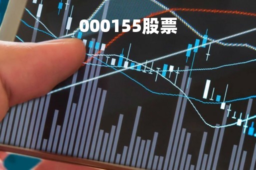 000155股票