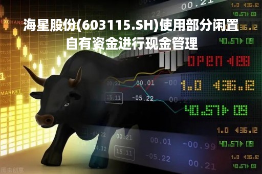 海星股份(603115.SH)使用部分闲置自有资金进行现金管理