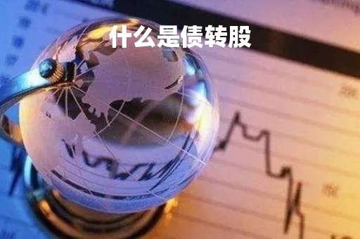 什么是债转股