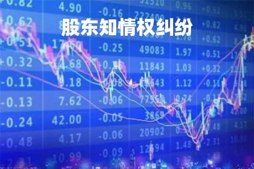 股东知情权纠纷