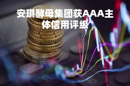 安琪酵母集团获AAA主体信用评级