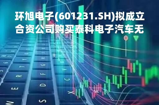 环旭电子(601231.SH)拟成立合资公司购买泰科电子汽车无线业务