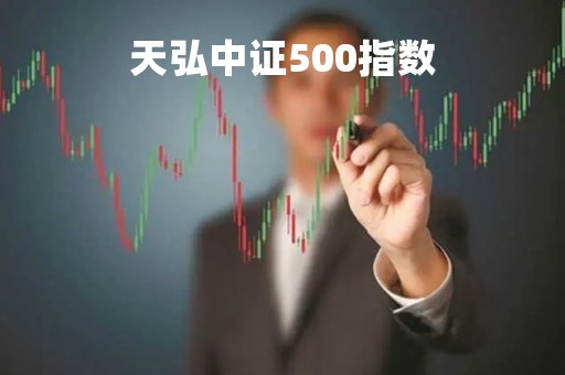天弘中证500指数