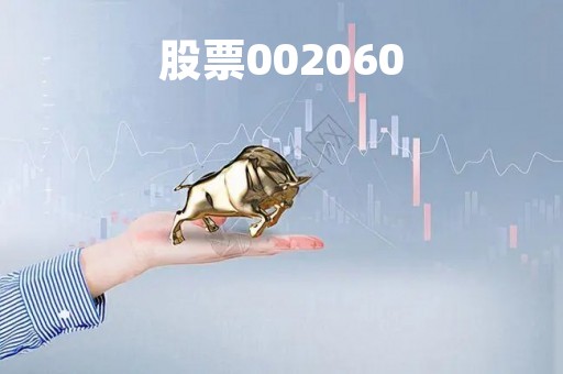 股票002060