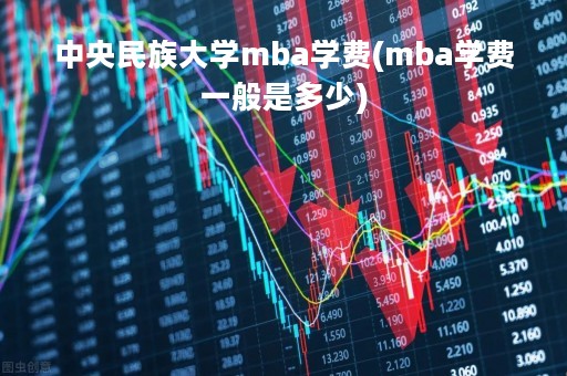 中央民族大学mba学费(mba学费一般是多少)