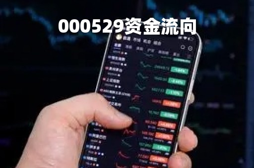 000529资金流向
