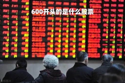 600开头的是什么股票
