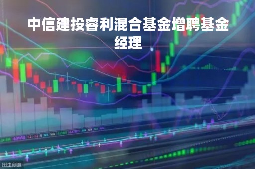 中信建投睿利混合基金增聘基金经理