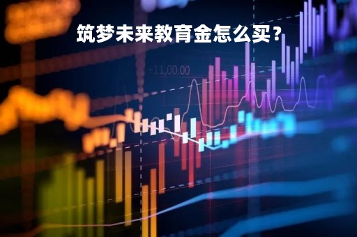 筑梦未来教育金怎么买？
