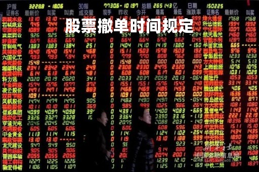 股票撤单时间规定