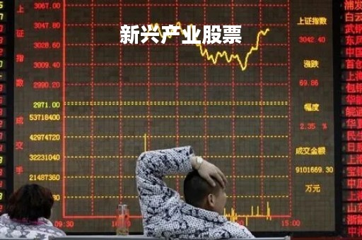 新兴产业股票