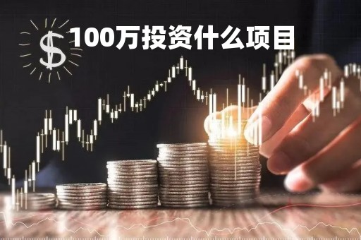 100万投资什么项目