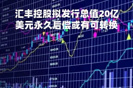 汇丰控股拟发行总值20亿美元永久后偿或有可转换证券