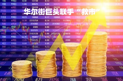 华尔街巨头联手“救市” 华尔街巨头联手“救市”