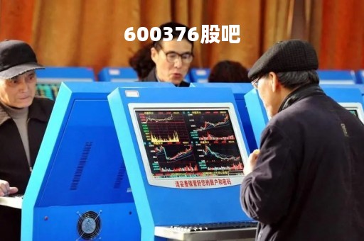 600376股吧
