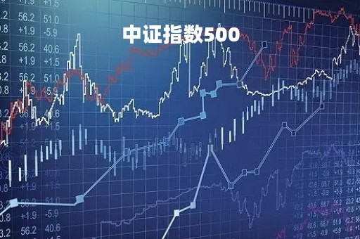 中证指数500
