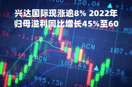兴达国际现涨逾8% 2022年归母溢利同比增长45%至60%