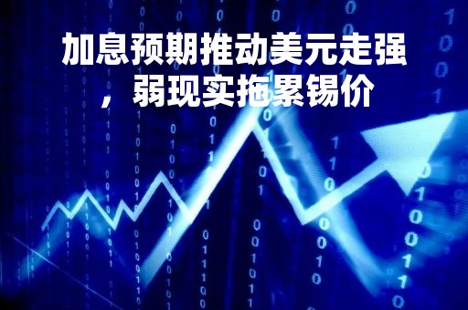 加息预期推动美元走强，弱现实拖累锡价