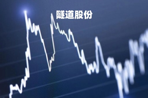 隧道股份