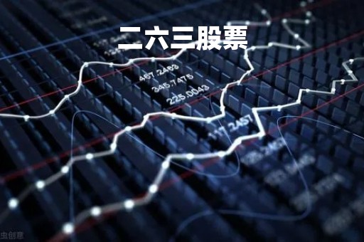 二六三股票