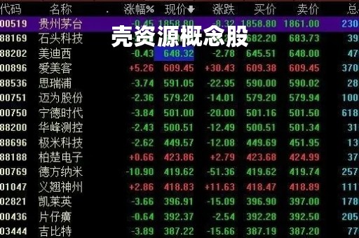 壳资源概念股