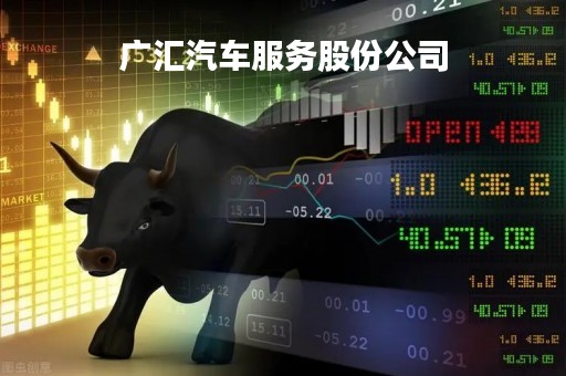 广汇汽车服务股份公司