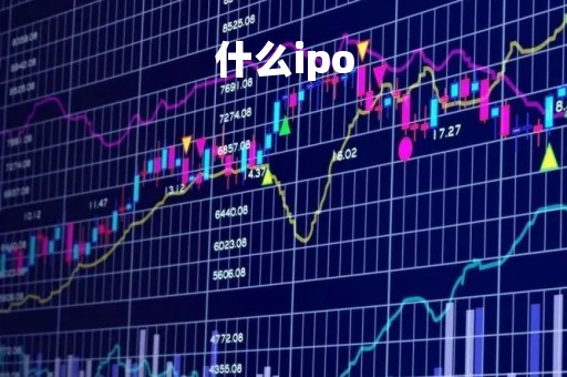 什么ipo
