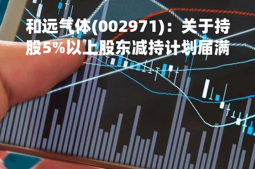 和远气体(002971)：关于持股5%以上股东减持计划届满减持计划未实施完毕的公告