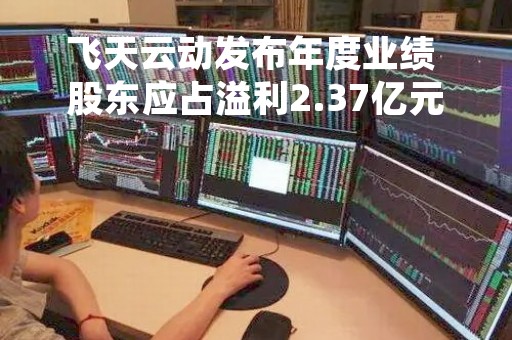 飞天云动发布年度业绩 股东应占溢利2.37亿元同比大增237.24%