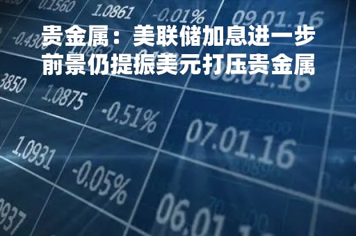 贵金属：美联储加息进一步前景仍提振美元打压贵金属 盘中大单交易拉动金价反弹收涨