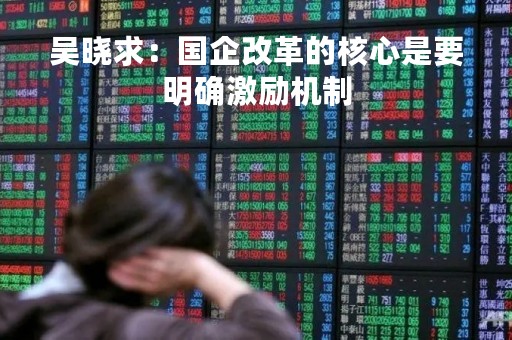 吴晓求：国企改革的核心是要明确激励机制