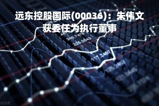 远东控股国际(00036)：朱伟文获委任为执行董事