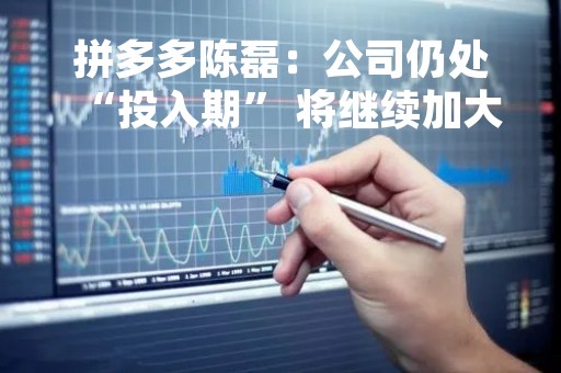 拼多多陈磊：公司仍处“投入期” 将继续加大研发投入