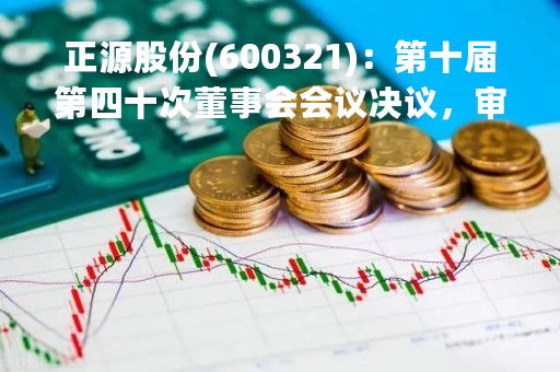 正源股份(600321)：第十届第四十次董事会会议决议，审议《关于为子公司融资继续提供保证担保的议案》等议案
