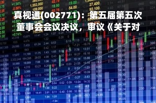 真视通(002771)：第五届第五次董事会会议决议，审议《关于对外投资设立两家全资子公司的议案》等议案