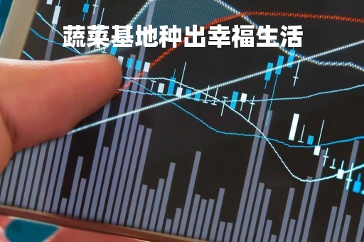 蔬菜基地种出幸福生活