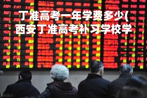 丁准高考一年学费多少(西安丁准高考补习学校学费多少)