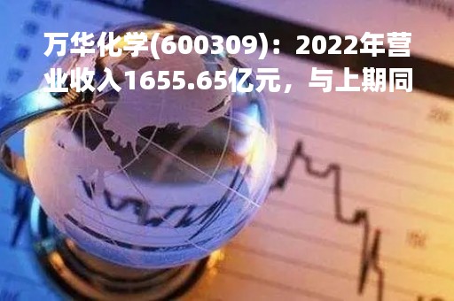 万华化学(600309)：2022年营业收入1655.65亿元，与上期同比增加13.76%