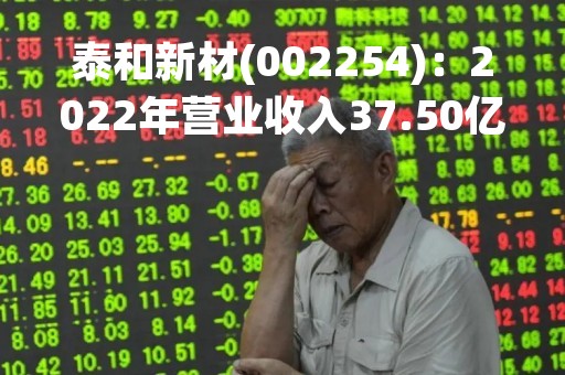 泰和新材(002254)：2022年营业收入37.50亿元，与上期同比减少14.85%