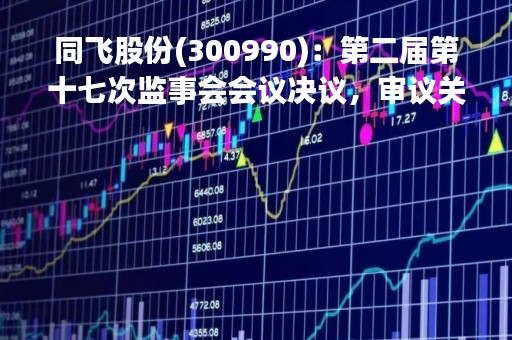 同飞股份(300990)：第二届第十七次监事会会议决议，审议关于2023年度向银行申请综合授信额度的议案