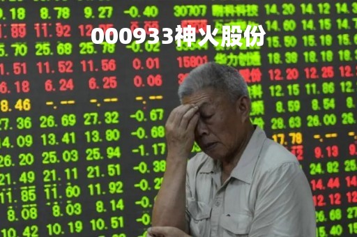 000933神火股份