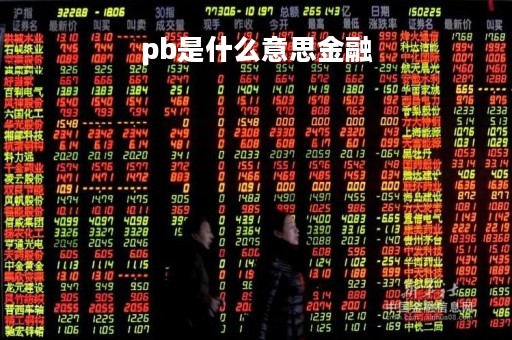 pb是什么意思金融