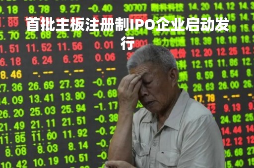首批主板注册制IPO企业启动发行