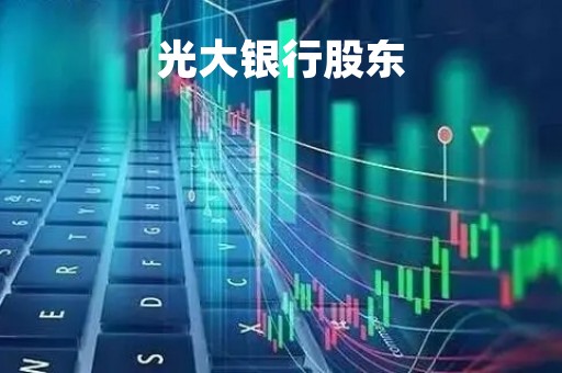 光大银行股东