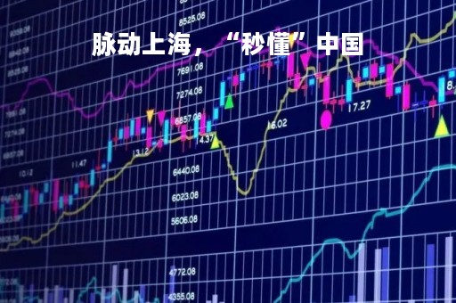 脉动上海，“秒懂”中国