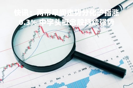 快讯：两市早间走势分化沪指涨0.3% 中字头概念股持续强势