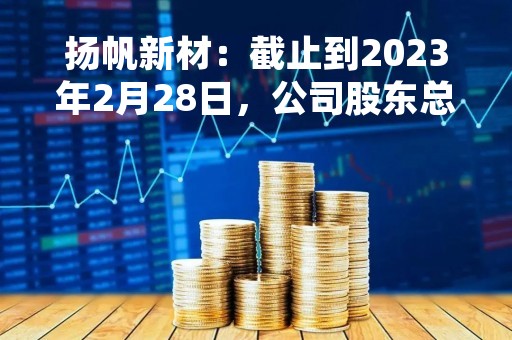 扬帆新材：截止到2023年2月28日，公司股东总人数为13238人