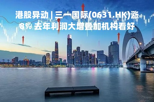 港股异动 | 三一国际(0631.HK)涨8% 去年利润大增叠加机构看好